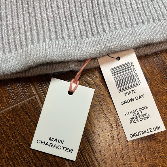 ARITZIA MAIN CHARACTER SNOW DAY BEANIE - Picture 5 of 9